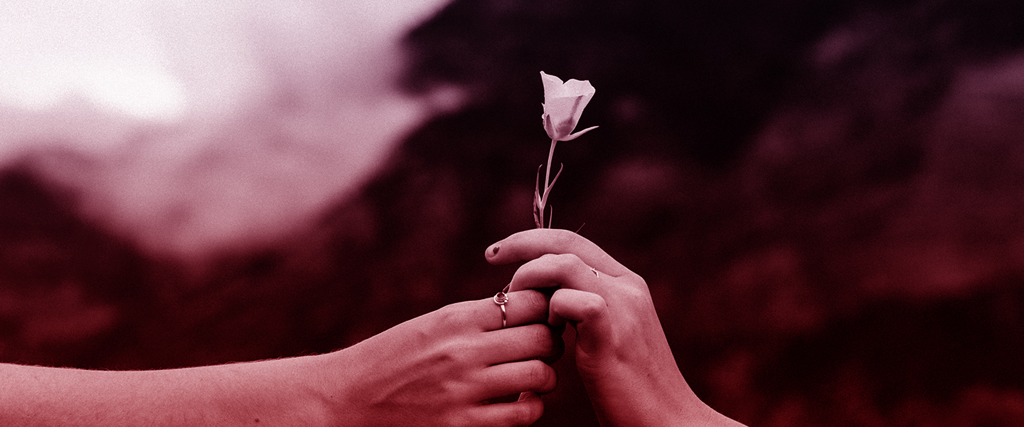 giving-tuesday-flower-donate